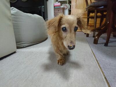 rps20170718_094527_954.jpg