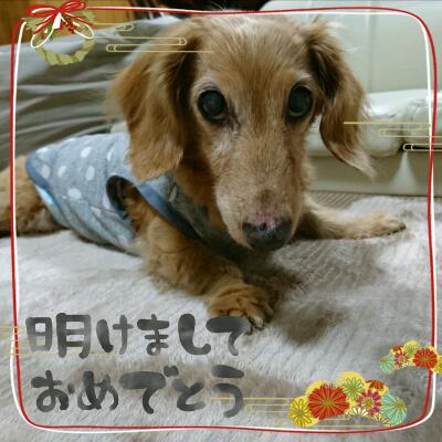 rps20180102_073607_537.jpg