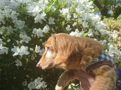 rps20180522_101530.jpg