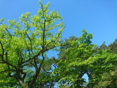 rps20180522_101729.jpg