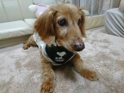 rps20180629_102456_636.jpg