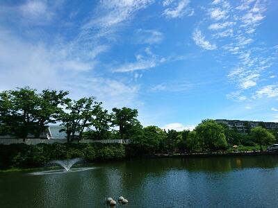 rps20180709_134117.jpg