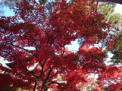 rps20181113_102144_636.jpg