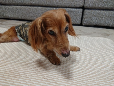 rps20190411_130904_000.jpg