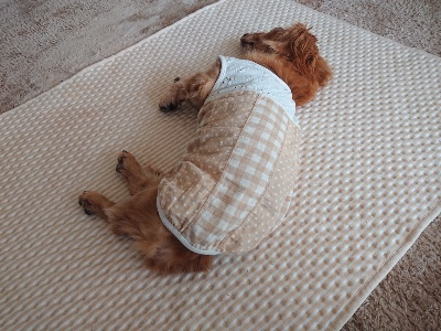 rps20190717_142710_764.jpg