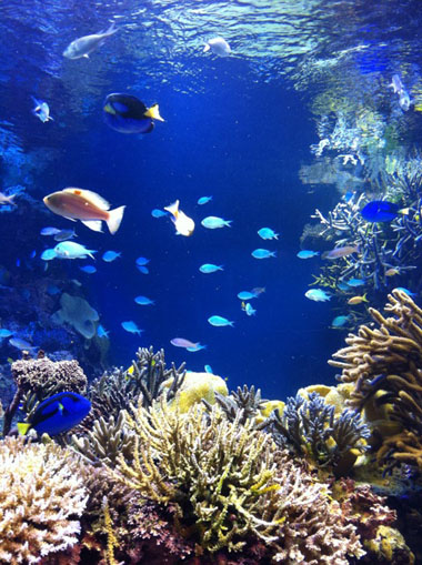 鳥羽水族館