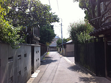 01.jpg
