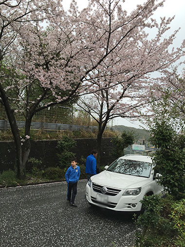 墓参り