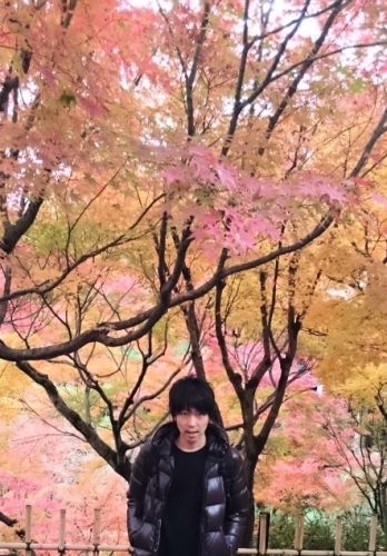 紅葉