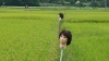 かかし