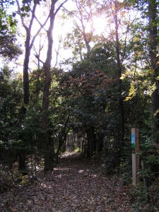 散策路_1