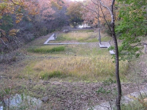 湿生生物観察園