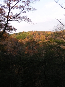 散策路・遠く紅葉の山を望む
