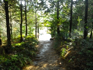 本宮山(2012)_7