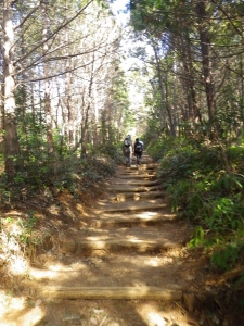 本宮山(2013)_1