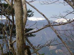 青笹山_4