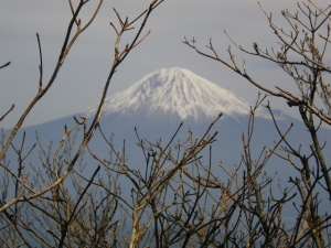 青笹山_6