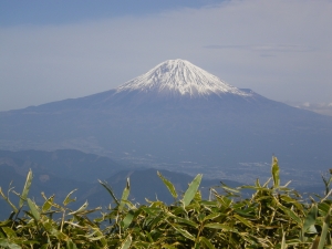 青笹山_8