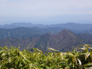 青笹山_11