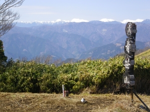 青笹山_12