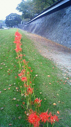 201010021323000.jpg
