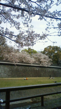 201104071223000.jpg