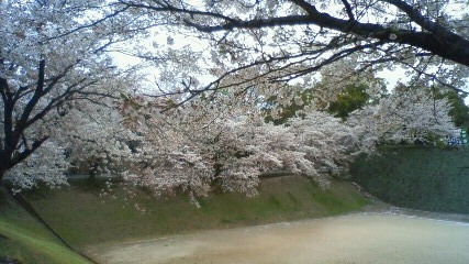 20110407_1994144.jpg