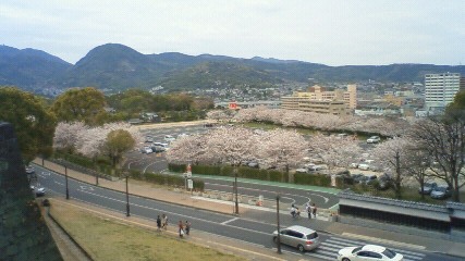 20110407_1994171.jpg