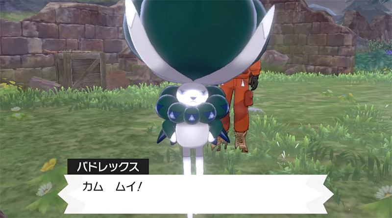 ポケモンカフェ ウォールクロック　ポケモンBW ポケモンカフェ ウォールクロック ポケモンBW（好きなポケモンと