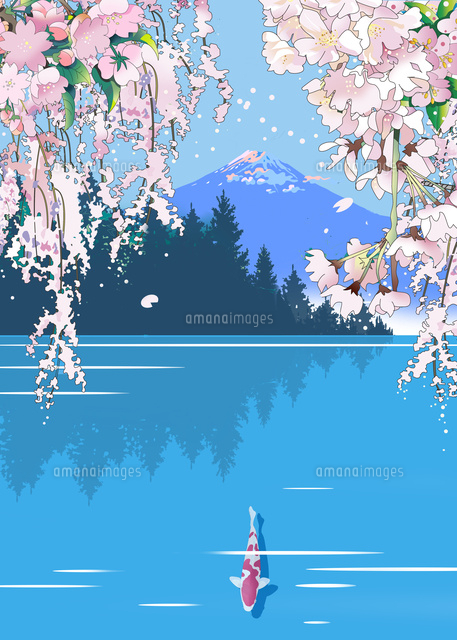 和風イラスト、鯉、富士山、桜