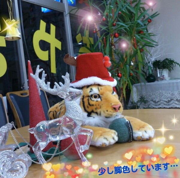 2013-11-12-20-46-42_deco-1.jpg