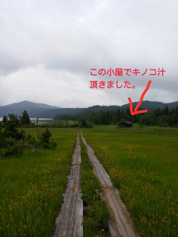 1439545628226.jpg