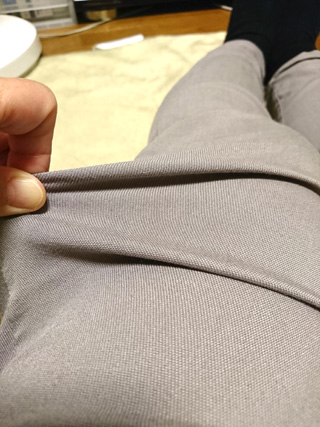 美楽レギパン