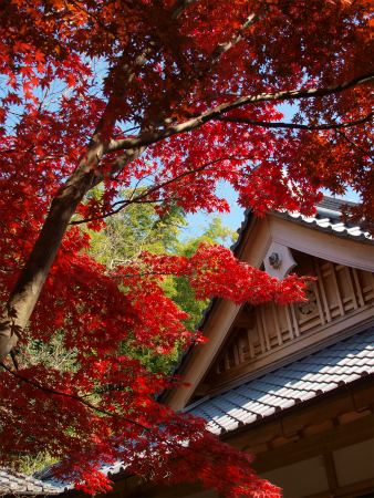 20131123_10.jpg