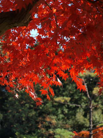 20131123_81.jpg