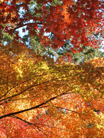 20131123_75.jpg