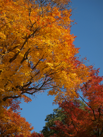 20131123_100.jpg