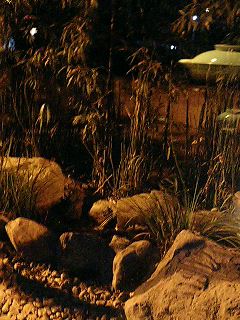 051219_2011~0001.jpg