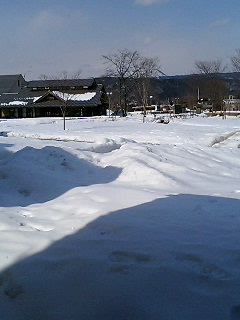 20060211_126222.jpg