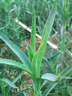 101020_1059~010001.jpg