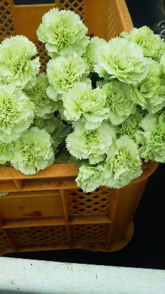201109201029000.jpg