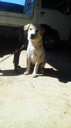 201110031046000.jpg