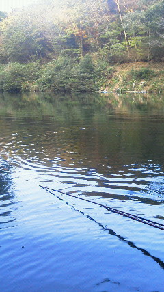 201110091613000.jpg