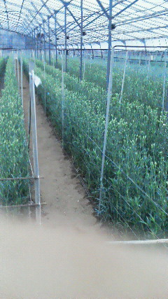 201110151646000.jpg