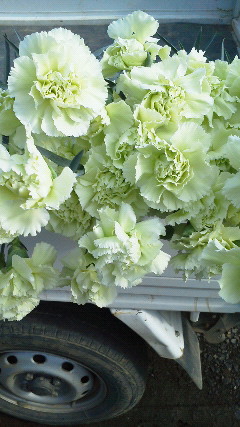 201202060929000.jpg
