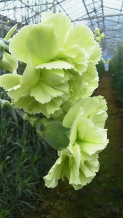 201204271435000.jpg
