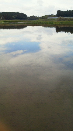 201205041524000.jpg