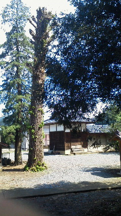 201205050943000.jpg