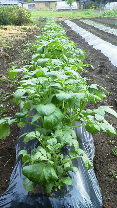 201205041619000.jpg