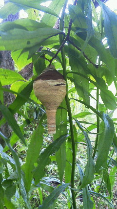 201206131407000.jpg